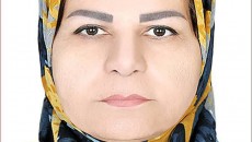 ما در بحران زندگی می کنیم اما بحران نیستیم